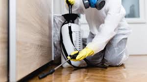 Best Termite Inspection and Treatment  in Jonestown, PA